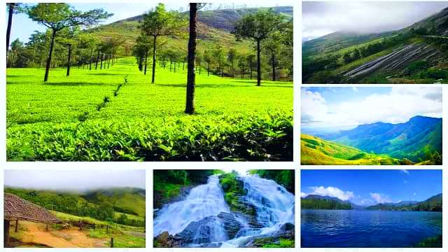 Munnar-tourist-Places-