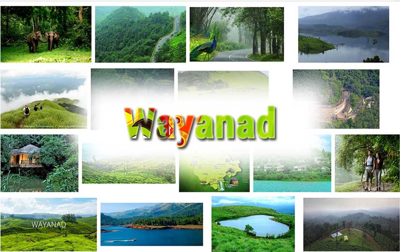 wayanad sightseens to visit